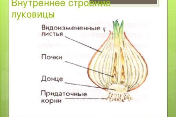 Блэк спрут не работает